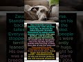 The World’s Tallest Dog Died Too Soon…