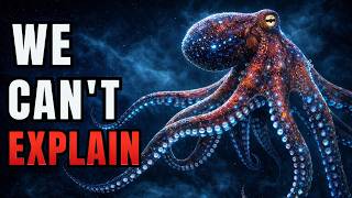 Celebrity Nothing About the Octopus Is Normal... Here’s Why. Net Worth