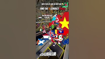 Find the 3 correct flags!