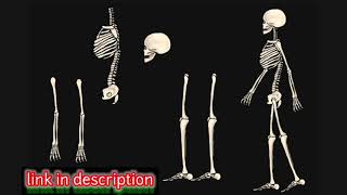 link skeleton dc2💀