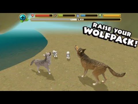 Wildlife simulator: wolf