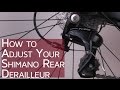 How to Adjust your Shimano Rear Derailleur | #CGT - Bike School