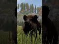 ЭТИ ГЛАЗА ТОЧНО УЗНАЮТ МИЛЛИОНЫ РАСТЕРОВ В РАСТ \ RUST