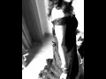 Sugandha Mishra | Anadi Mishra | Live Whatsapp Status Video Download Free