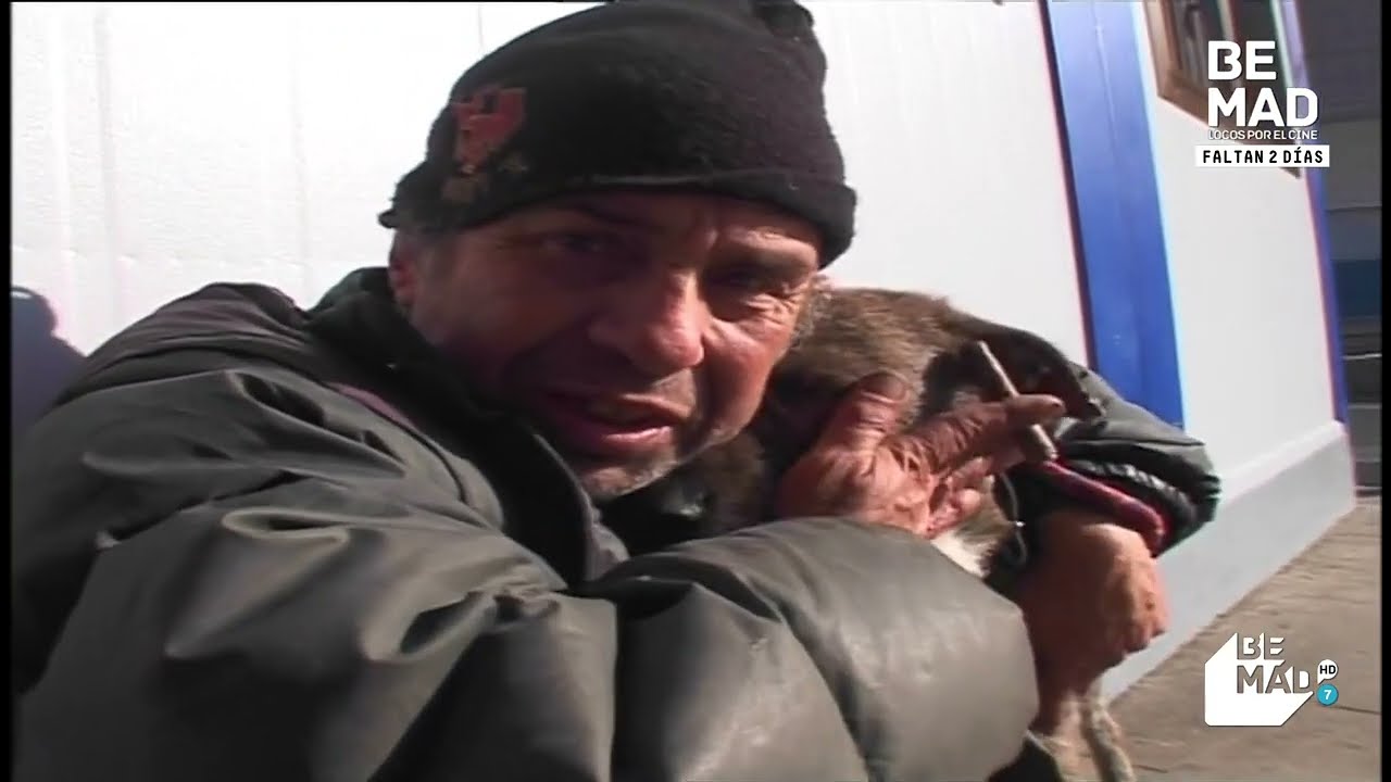 Callejeros Indigentes (continuación)