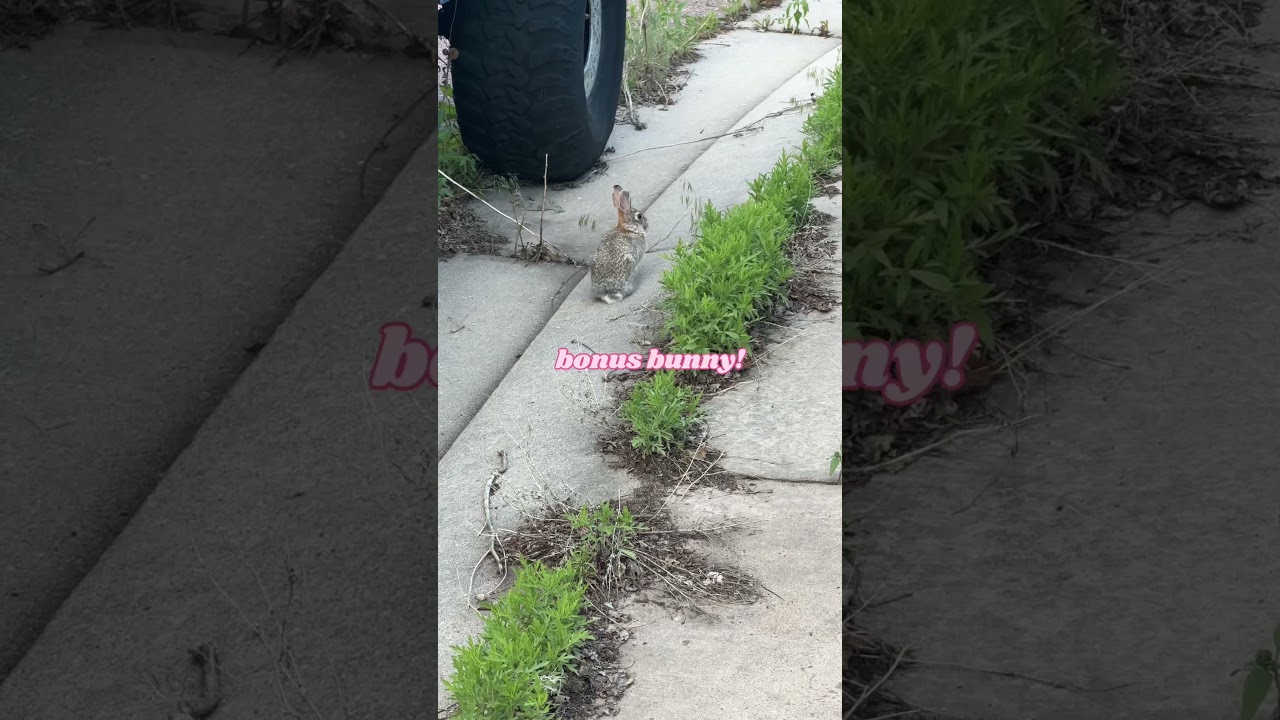 another color walk but this time in blue 💙🩵🧿