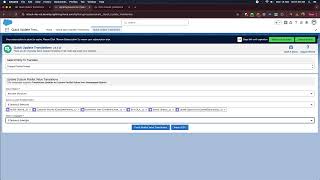 Salesforce Quick Update Translations - Picklist Translations