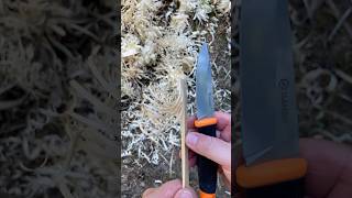 ⚡ How to make feather stick with Ganzo G806 featherstick making feathersticking test demo feathers