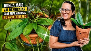 🛑3 DICAS IMPORTANTES PARA EVITAR DESIDRATAÇÃO NO CULTIVO EM VASO DE BARRO!