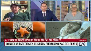 Furor en redes sociales por el stream del Conicet: los desafíos de explorar el fondo del mar
