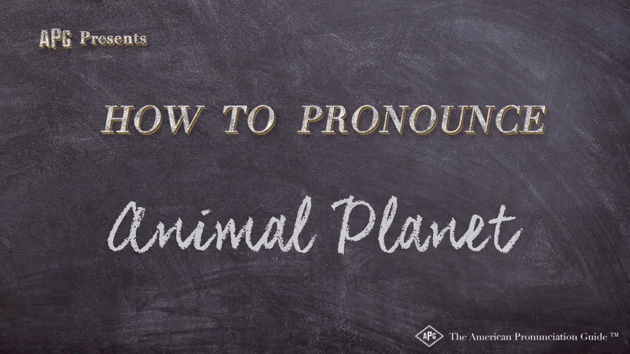 How to Pronounce Animal Planet (Real Life Examples!)