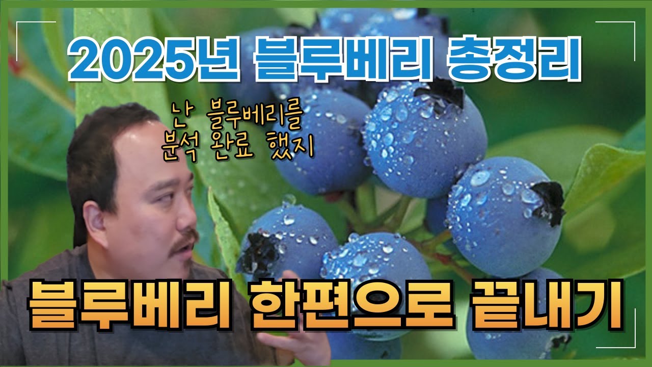 2025년) 블루베리 이 영상으로 모두 끝내드립니다. 블루베리 특성부터 재배력까지 한번에 알려드립니다 | 블루베리 재배교육 | 농사 100단