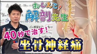 【40秒で治る！？】日本一分かりやすい"解剖先生"の授業
