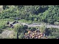 Bicentenaire, Port-au-Prince, janvier 2026 Mp3 Song