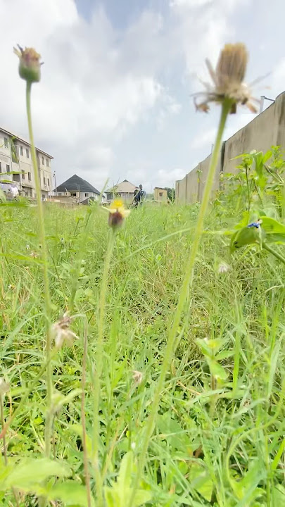 See IShowSpeed #ishowspeed #fortnite #chapter4 #fortniteclips #gaming #fortnitebr #music #poetry