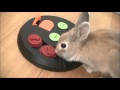 2015.08.25 うさぎの知育玩具～Trixie Flip Board