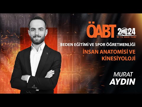 3 - İNSAN ANATOMİSİ VE KİNESİYOLOJİ - ANATOMİK DÜZLEMLER VE EKSENLER - MURAT AYDIN 2024