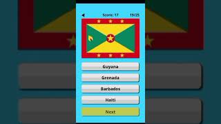 Flag guessing game 🎮