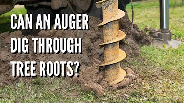 Can an Auger Dig Through Tree Roots?