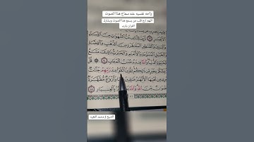 قرآن-بصوت القارئ محمد الفقيه #اليمن#السعوديه#المغرب# الجزائر #فلسطين#