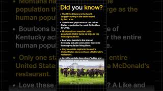 Where Cows Outnumber Humans Two To One