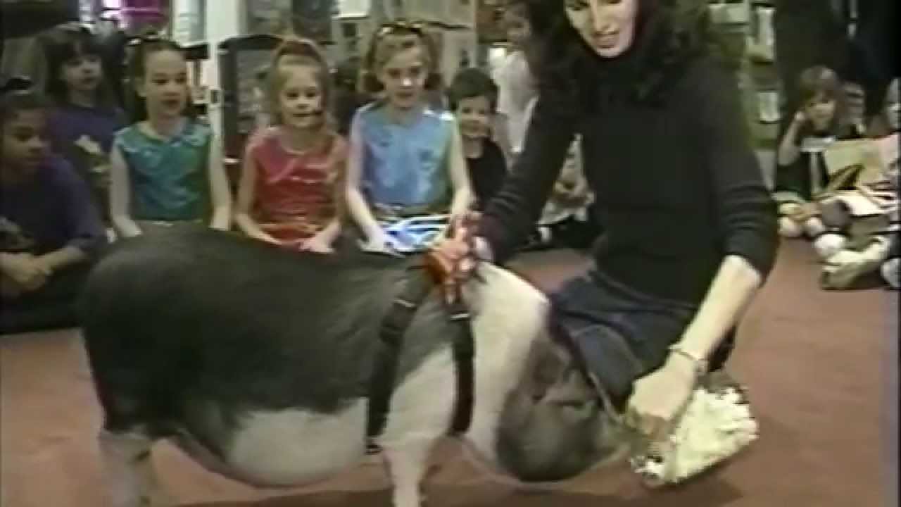 Fox Albany Ny Tv Schedule