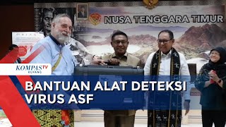 Pemprov NTT Dapat Bantuan Alat Pendeteksi Virus Demam Babi Afrika
