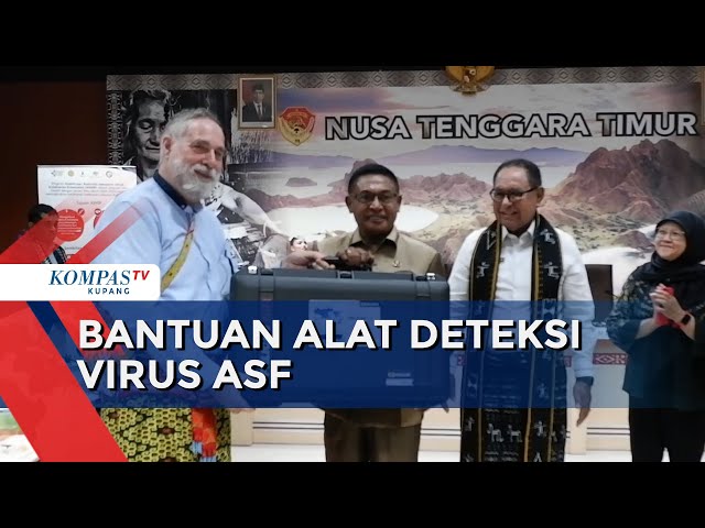 Pemprov NTT Dapat Bantuan Alat Pendeteksi Virus Demam Babi Afrika class=