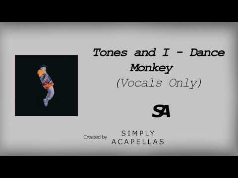 Download Tones And I Dance Monkey Acapella Mp3 Mp4 320kbps Jengkel Mp3