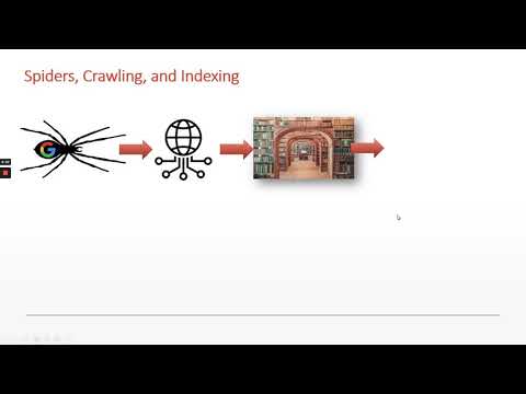 On Page SEO | Crawling Spiders, Indexing, and Optimizing