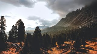 "Tranquil Twilight: Serene Sounds for Nighttime Bliss"
