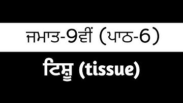 9th Class Science chapter 6 punjabi Medium || science pseb ||  questions/answers