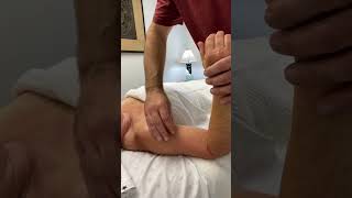 Massage Therapy Techniques