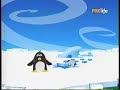 Zoom Pingüino Perdido BabyTV