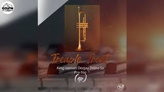 King Saiman, Deejay Zebra SA \u0026 Pro Tee-Ndikhokhele[Trumpet Remix]