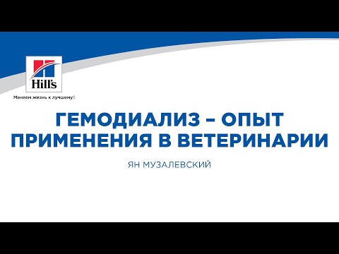 Вебинар на тему: "Гемодиализ - опыт практического применения в ветеринарии". Лектор - Ян Музалевский