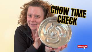 I Put This Slow Feeder Bowl to the Test