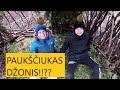 Ekstremalai: PAUKŠČIUKAS DŽONIS??!!