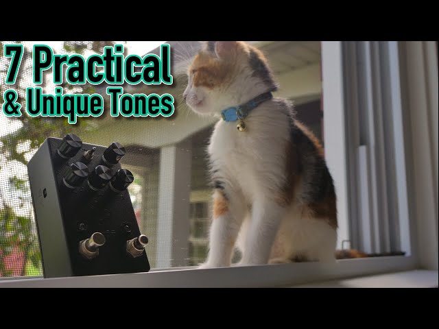 JHS Lucky Cat delay - 7 Favorite Settings - YouTube