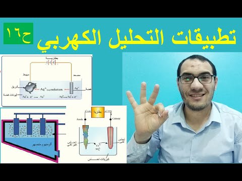 فيديو: كيف يتم تصميم واستخدام الرافعات الجسرية