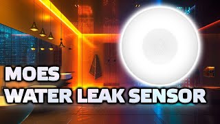 Zigbee leak sensor Moes, review, checking compatibility with various smart home systems by Alex Kvazis - технологии умного дома 3,100 views 3 weeks ago 11 minutes, 57 seconds