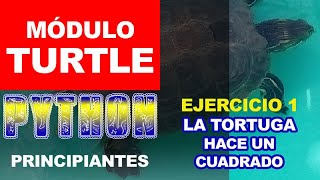 Python módulos TURTLE ej 1 la tortuga hace un cuadrado