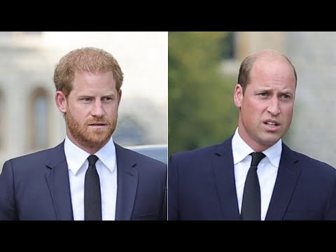 Lip Reader Reveals William And Harry's Funeral Conversation