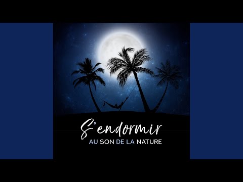 Watch Sons de forêt tropicale on YouTube