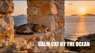 CALM CAT BY THE OCEAN  🎶 Stress & Help Your Cat Sleep