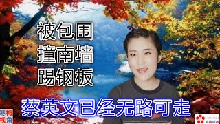 20201207-3【投降吧】【蔡英文已经走上了绝路:RCEP,CPTPP,美毒猪,日毒鱼】【寒梅视角】