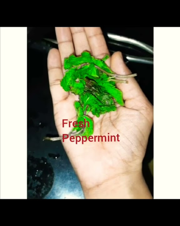peppermint-tea-good-for-bloated-stomach-youtube