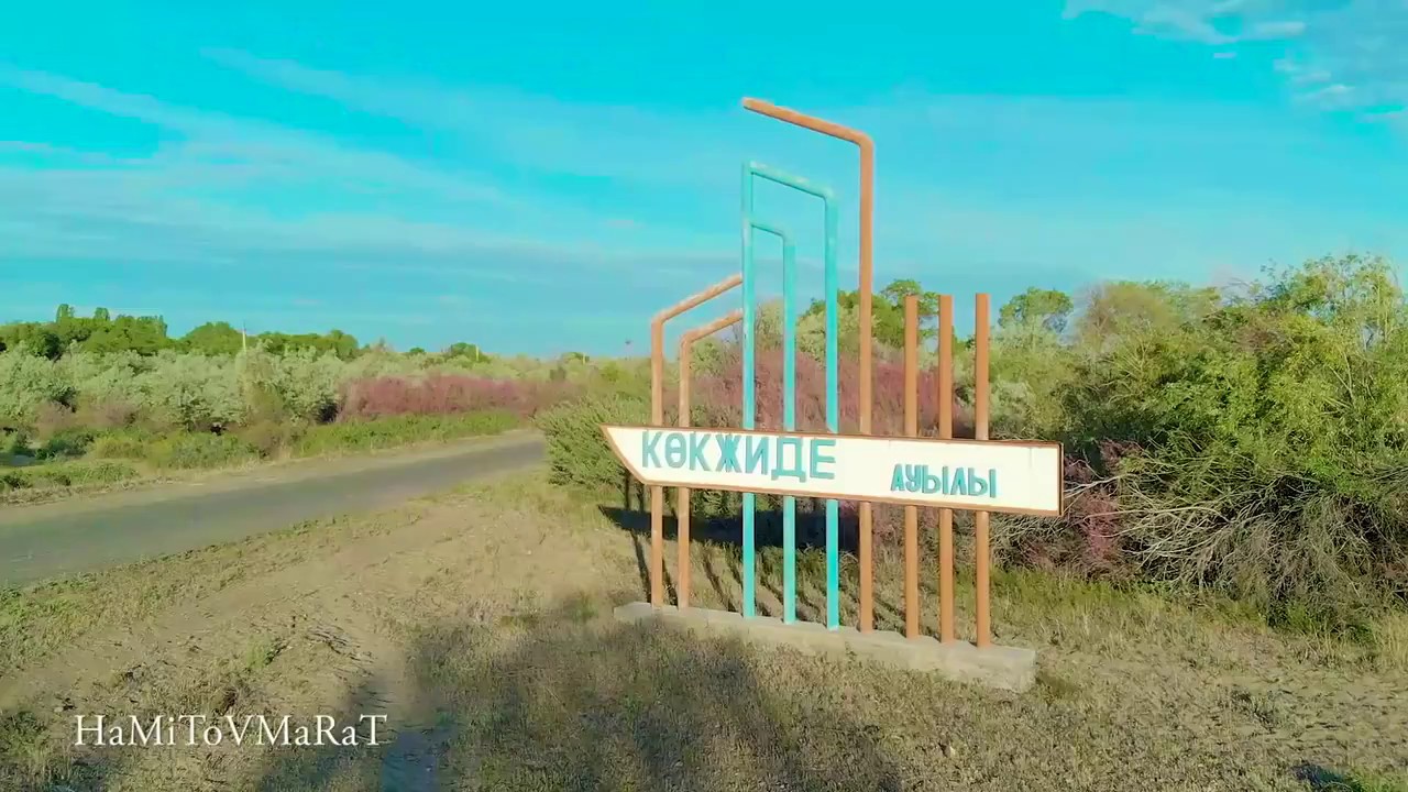 Кокжиде DJI mavic 2018