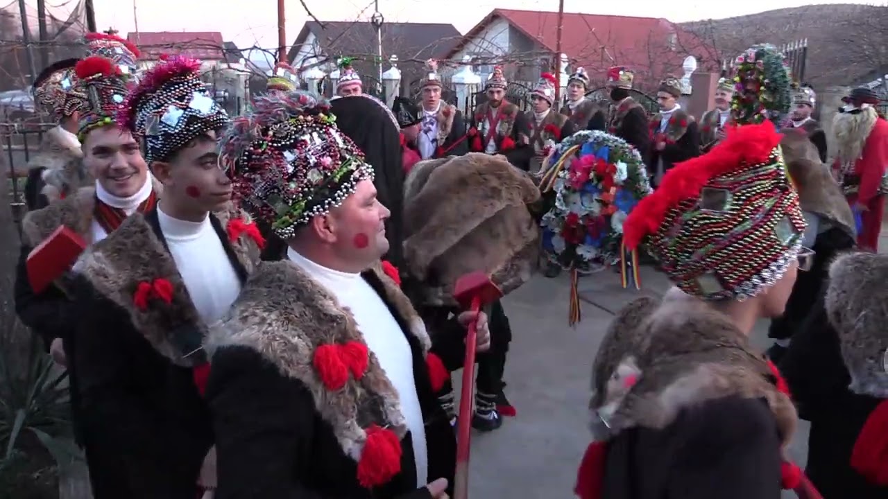 CERBIUL DE LA CÂRJOAIA 2023 - 2024