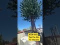 5gtower breakdown #5g  #5gtowers